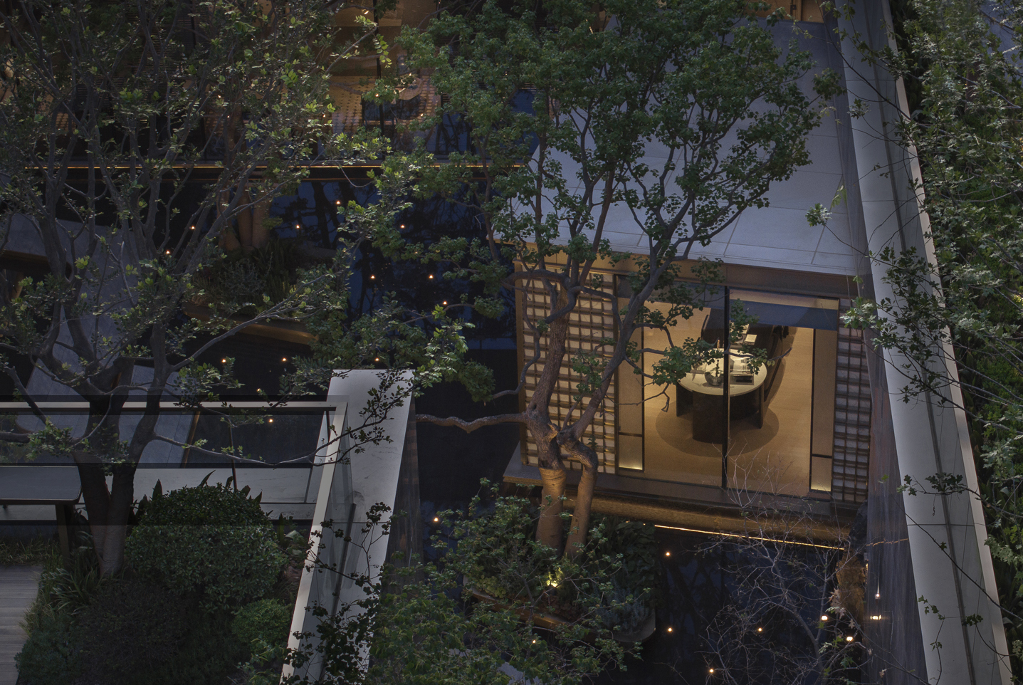 DJI_20250612052332_0131_D-1 拷贝.JPG